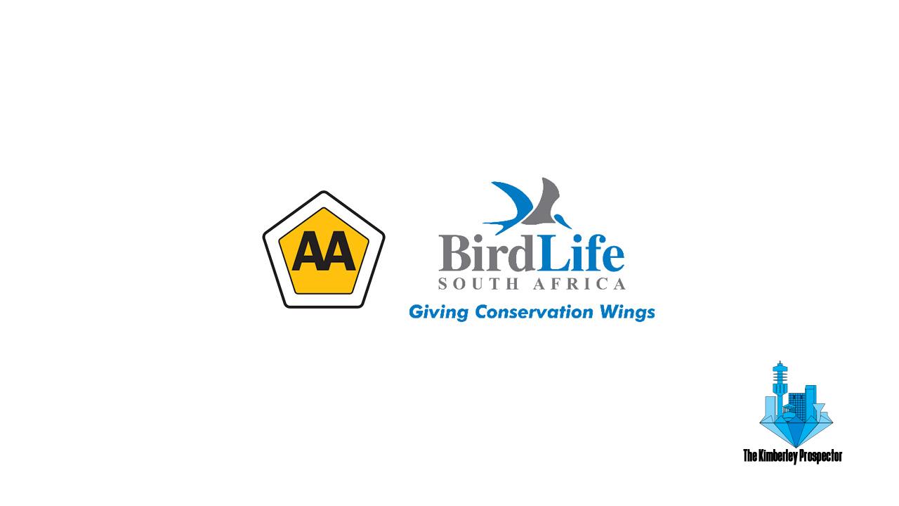AA and BirdLife South Africa: Working together for safe conservation AA and BirdLife South Africa: Working together for safe conservation
