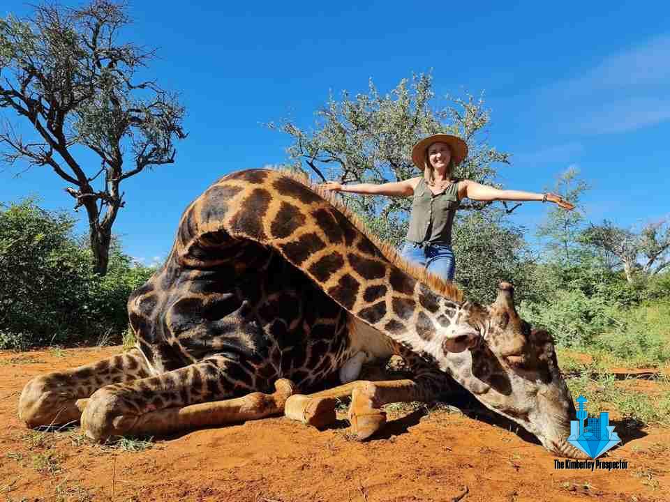 Hunter who posted pics with dead giraffe and its heart: ‘Ban her from Facebook’, petition urges Hunter who posted pics with dead giraffe and its heart: ‘Ban her from Facebook’, petition urges