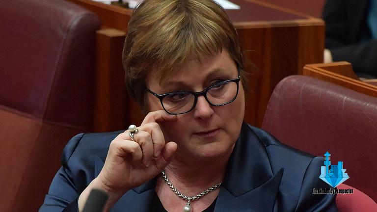 Australian defence minister hospitalized ‘as precaution’ amid scandal over alleged rape of young staffer