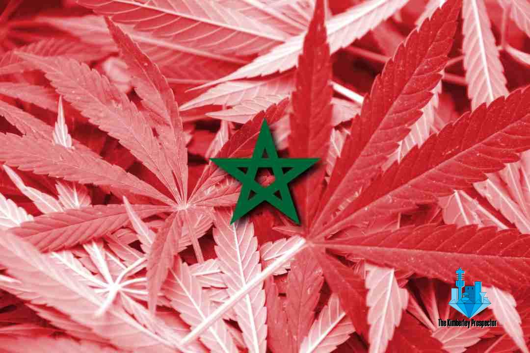 Morocco Expected To Pass Cannabis Legalization Soon Morocco Expected To Pass Cannabis Legalization Soon