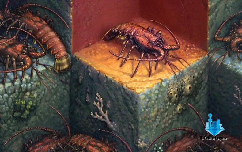 Animals are better at social distancing than humans ever will Animals are better at social distancing than humans ever will