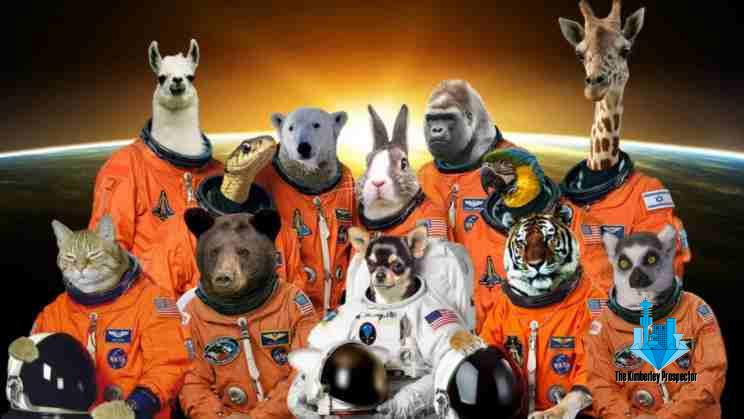 WATCH: Sad truth behind animals sent to space