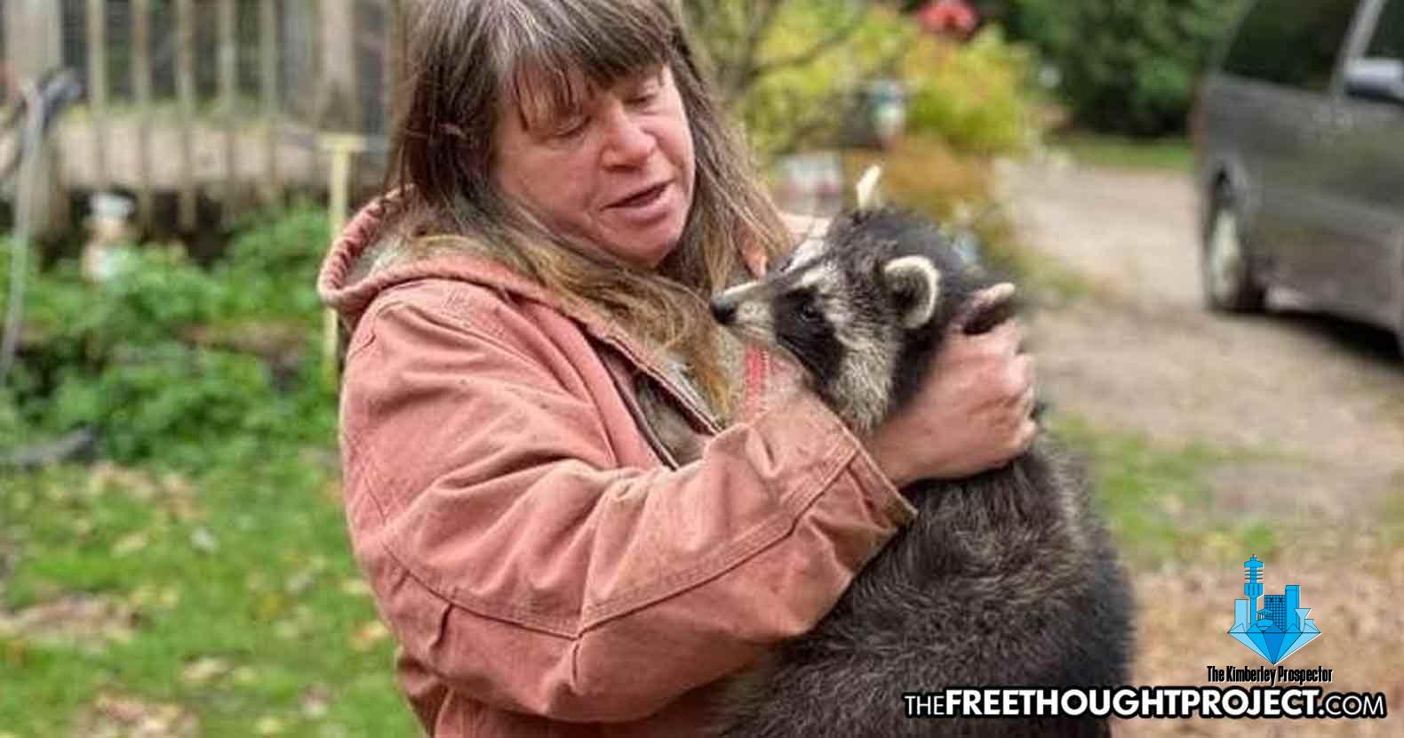 Family’s farm raided, animals killed – for rehabilitating them without a permit