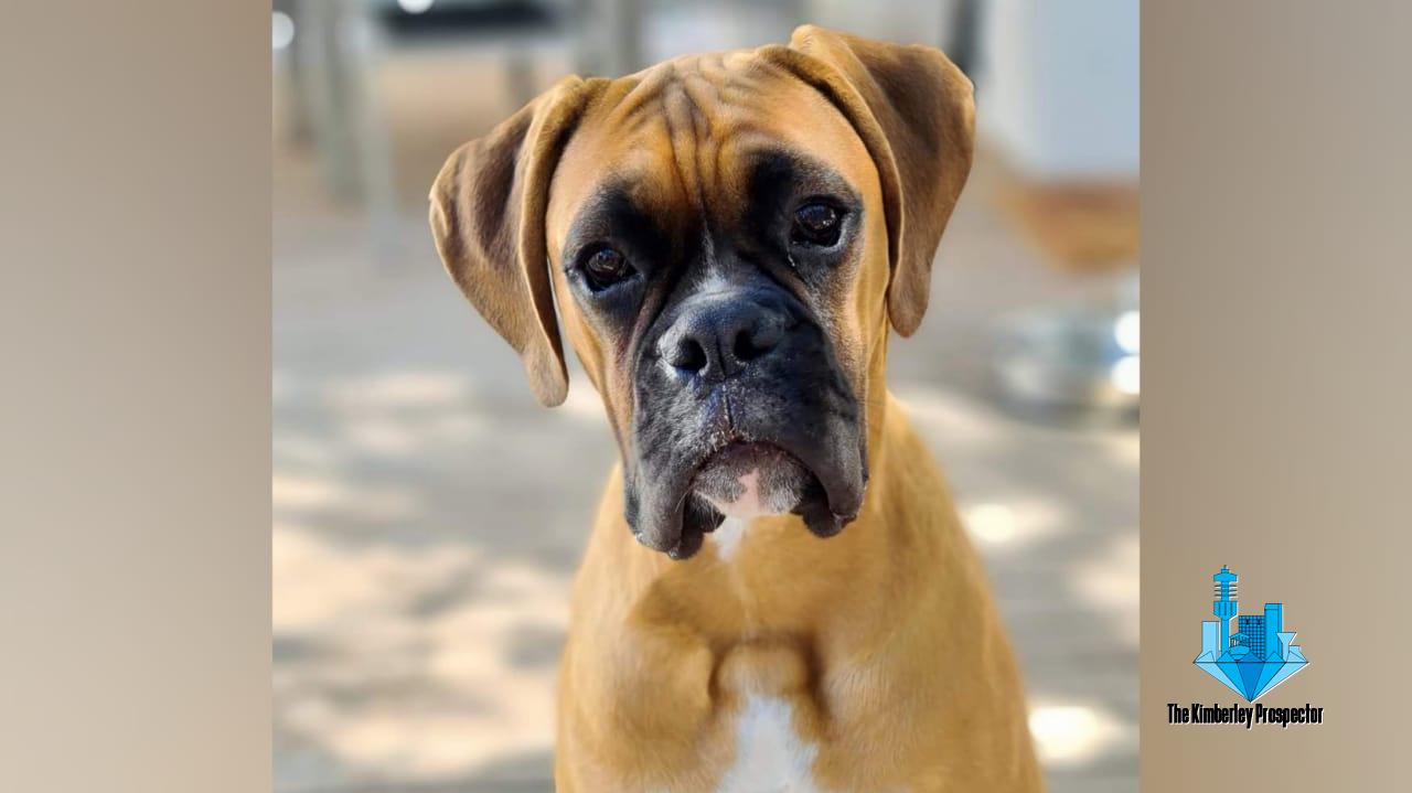 Justice for Hector