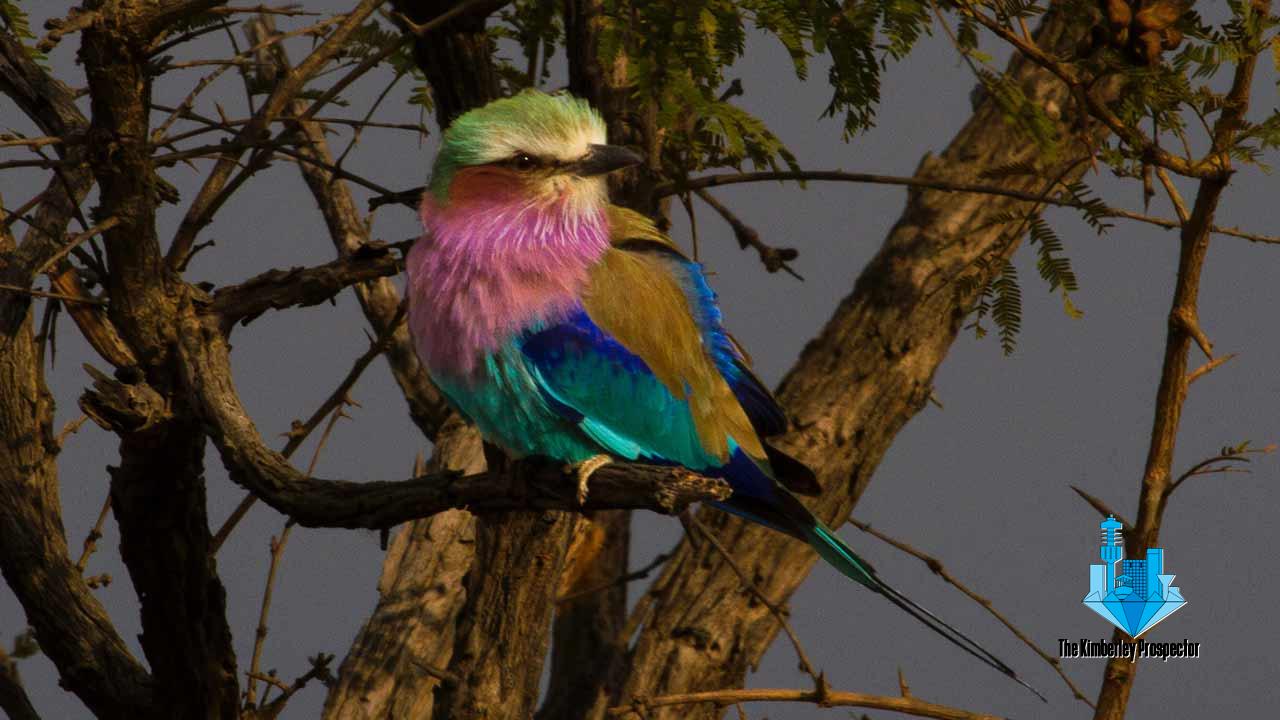 Get 40% discount at selected parks and camps Get 40% discount at selected parks and camps