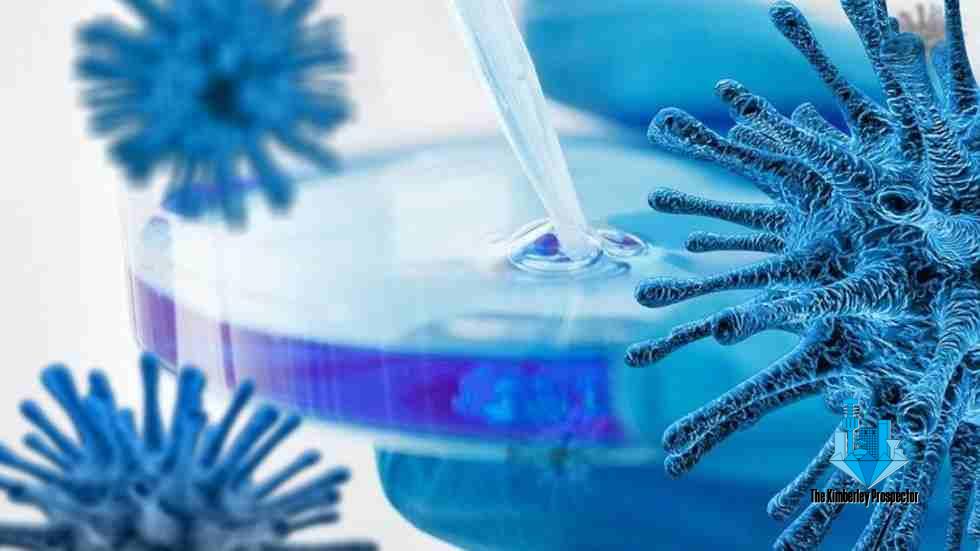 Coronavirus variants will likely evolve, escape current generation of vaccines – study Coronavirus variants will likely evolve, escape current generation of vaccines – study