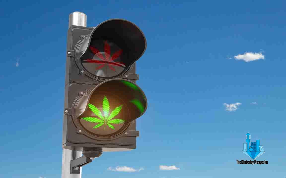 These US states could legalise dagga next in 2021 These US states could legalise dagga next in 2021