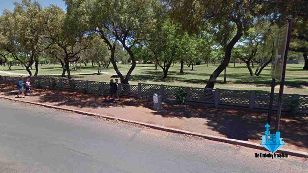 Woman walking dog cleans up Trim Park area