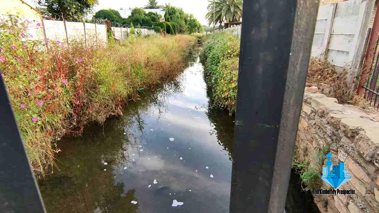 WATCH: Municipality allowing leak to flow for months creating river in stormwater ditch