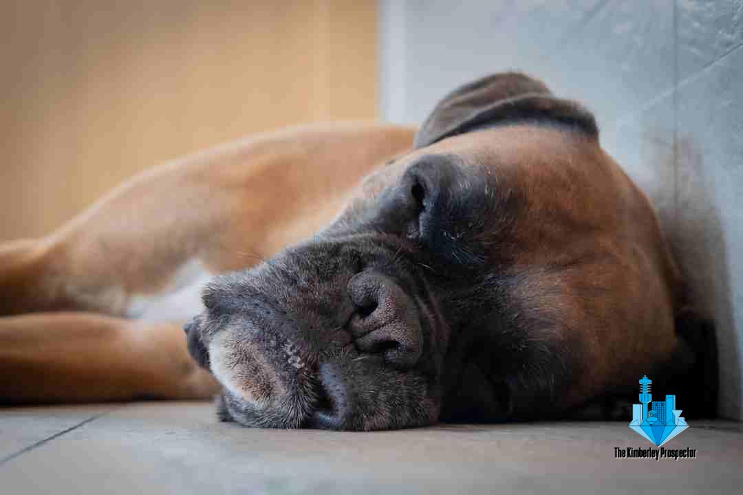 Good night, sleep tight on World Sleep Day