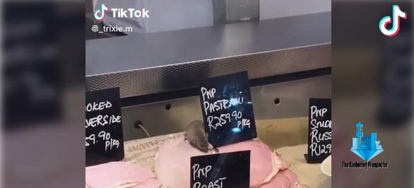 VIRAL VIDEO: Rat on deli meat at posh Cape Town Supermarket VIRAL VIDEO: Rat on deli meat at posh Cape Town Supermarket