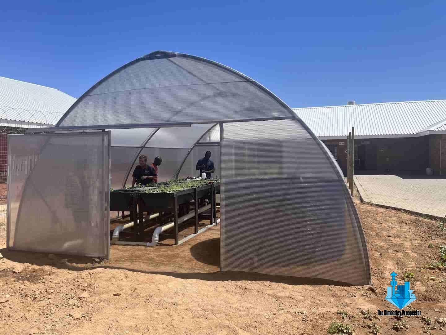 Akwaponiese Stelsel Versterk Voedselsekerheid en Jeug Ontwikkeling Akwaponiese Stelsel Versterk Voedselsekerheid en Jeug Ontwikkeling