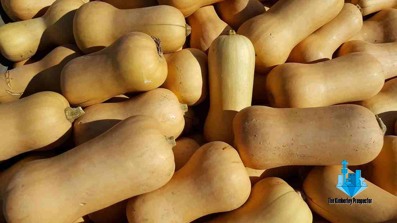 10 Tempting Butternut Dishes to Satisfy Your Cravings!