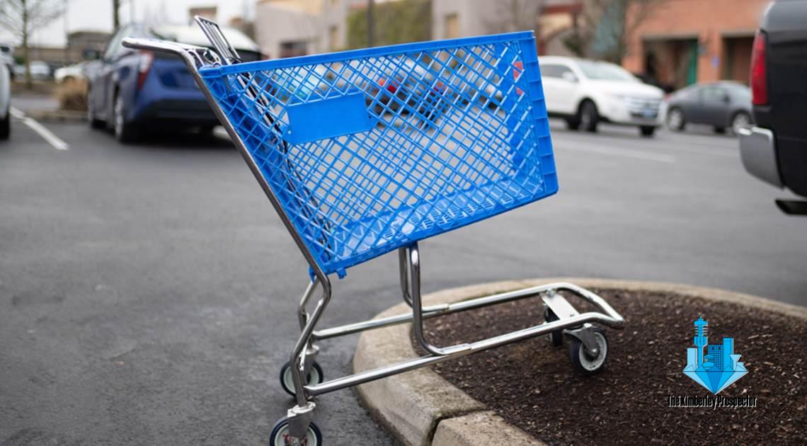 The Shopping Cart Theory: A Litmus Test of Good Character The Shopping Cart Theory: A Litmus Test of Good Character