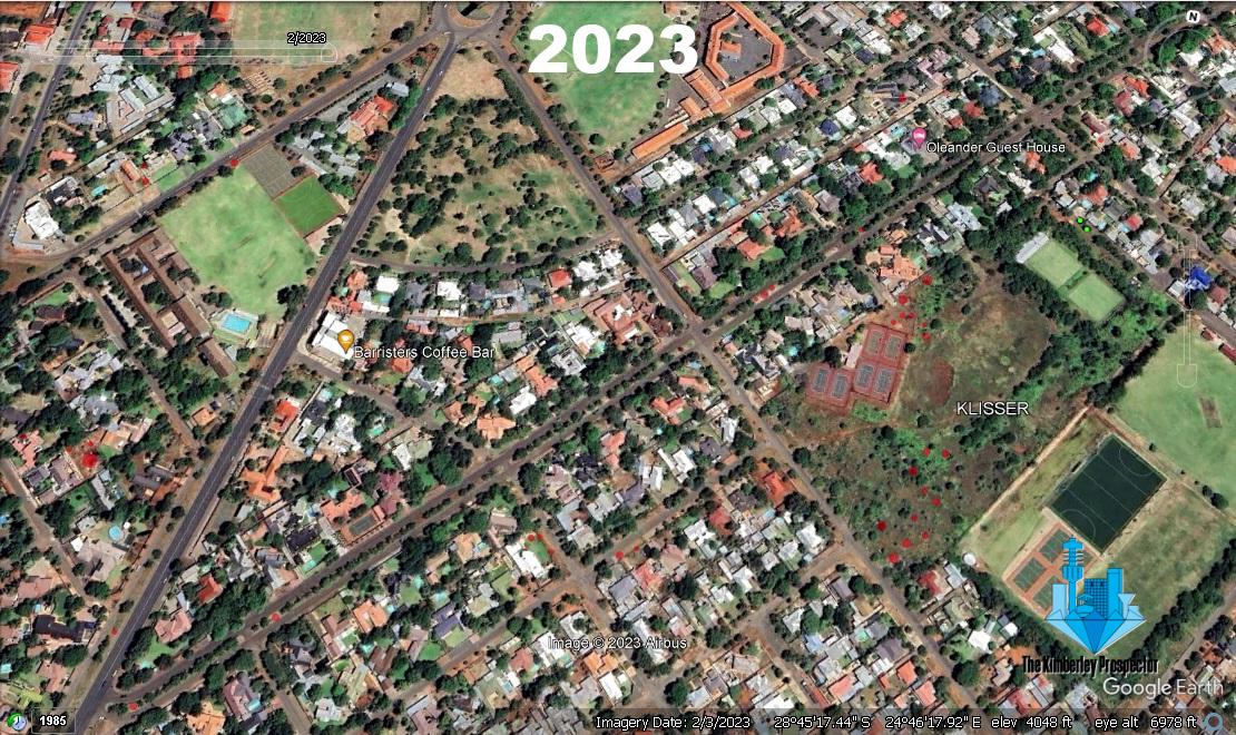Alarming Tree Loss in Kimberley Highlights Mismanagement and Environmental Neglect Alarming Tree Loss in Kimberley Highlights Mismanagement and Environmental Neglect