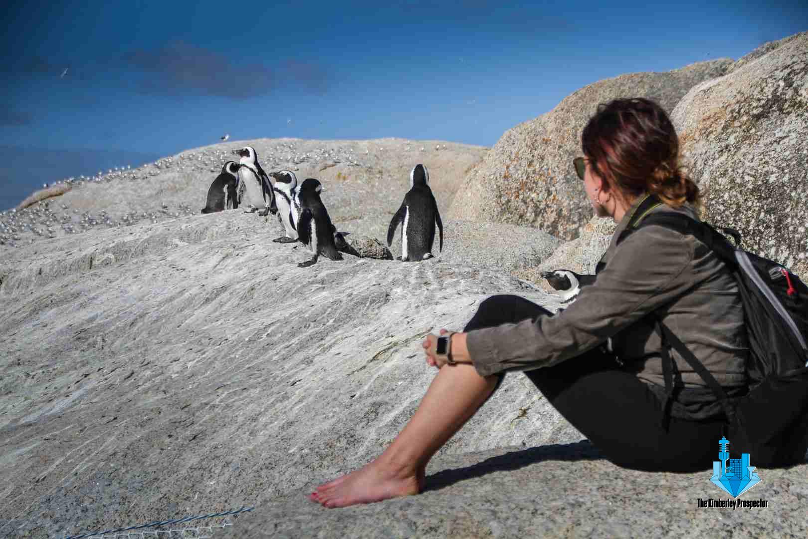 Discover South Africa’s 10 Most Beautiful Attractions and Find Your Perfect Accommodation! Discover South Africa’s 10 Most Beautiful Attractions and Find Your Perfect Accommodation!